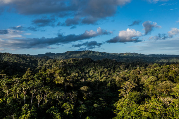 美丽的自然背景，一个惊人的蓝色云景投下的阴影在热带森林的树冠:热带雨林的鸟瞰图图片下载