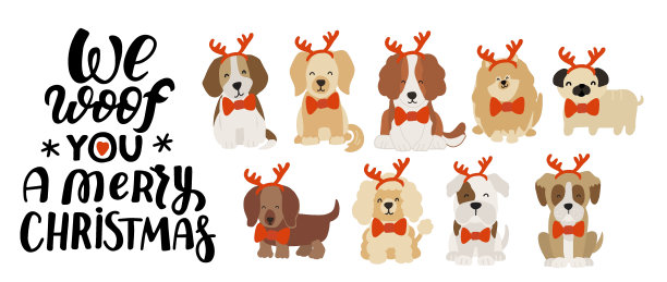 圣诞小狗比格犬，金毛猎犬，拉布拉多，博美，狮子狗，哈巴狗，斗牛犬，拳击犬，腊肠犬，可卡犬。可爱的卡通节日设计有驯鹿角的狗狗爱好者，并引用We woof you a Merry Christmas图片下载
