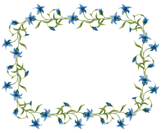 装饰花卉框架从水彩画图片下载