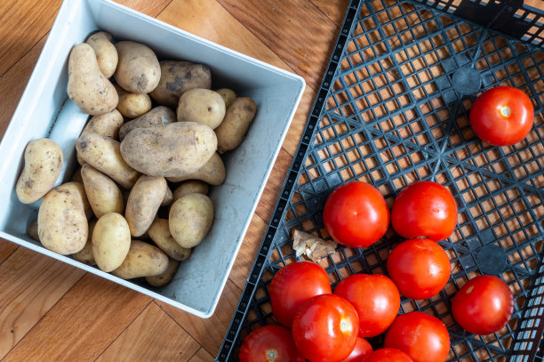 地板上的塑料盒里装着西红柿和土豆图片下载