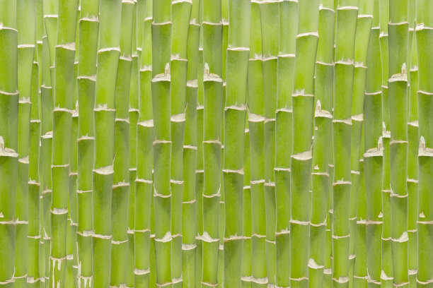 坚实的竹茎壁素材图片