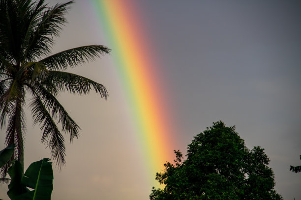 美丽的彩虹背景图片下载