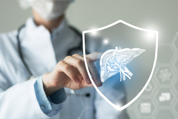无法辨认的女医生手持盾牌和图形虚拟可视化的肝脏器官在手中。图片下载
