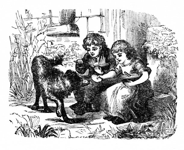 孩子喂狗图片下载