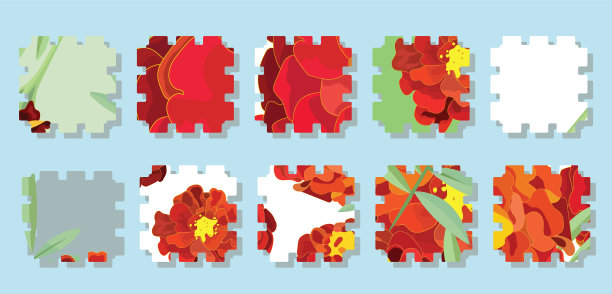 橙色的金盏花是墨西哥节日的象征图片下载