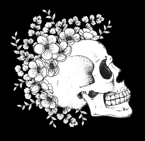 人类头骨和花朵素描，手绘插画。矢量插图。纹身的打印。骷髅和山茶花。t恤的设计。黑色和白色。图片下载