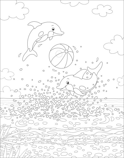 快乐的小海豚带着球飞图片下载