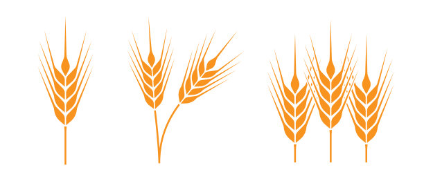 成熟的小麦符号矢量图标图片下载