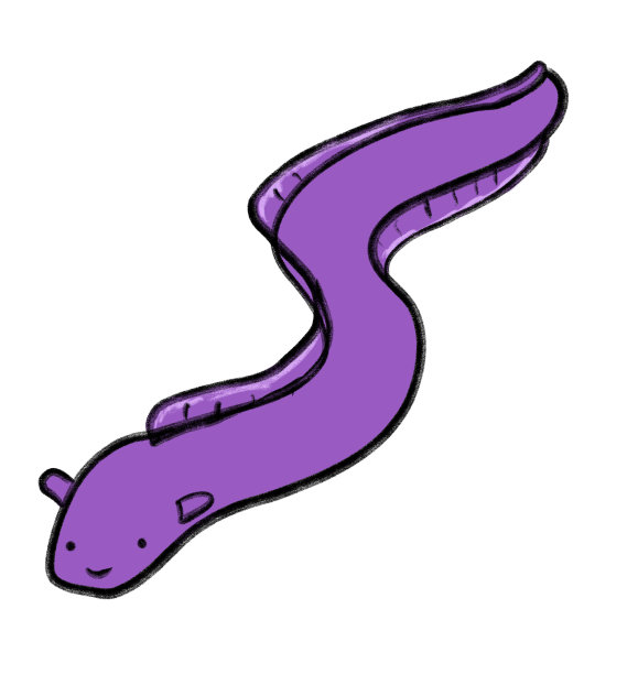 海鳗海下动物卡通手绘涂鸦插画艺术图片下载