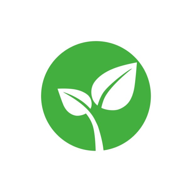 白色背景上的生态叶。矢量图图片下载