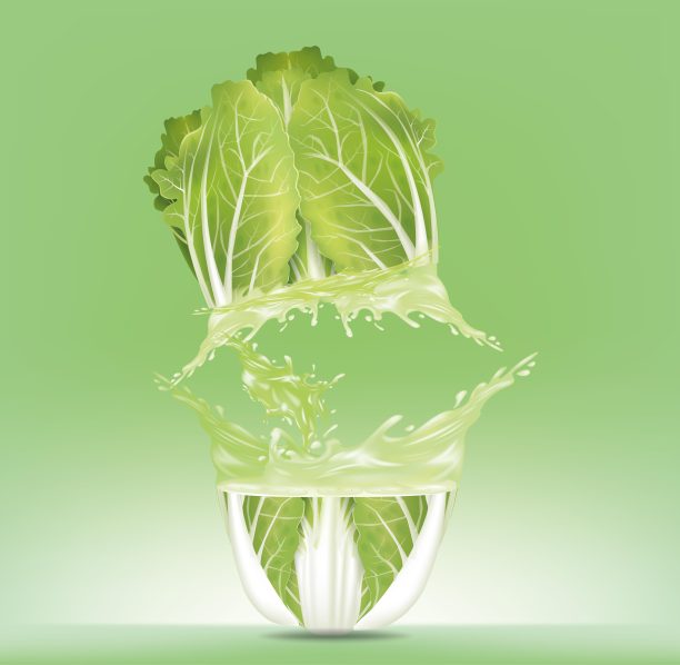 白菜用水花溅起，孤立在白色背景上。说明向量图片下载