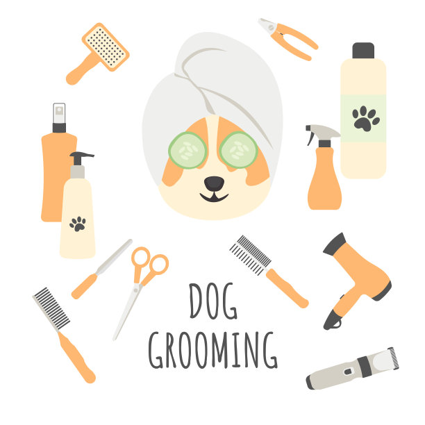 狗美容海报在白色背景与柯基和美容设备。宠物美容工具集。家畜美容院。图片下载