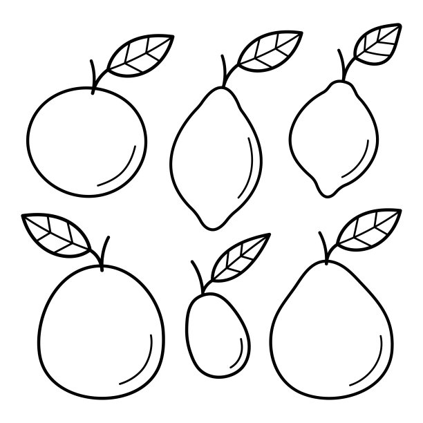 一组柑橘类水果。橙子，柠檬，青柠，柚子，柚子，金桔。手绘草图图标。孤立的矢量插图涂鸦线条风格。图片下载