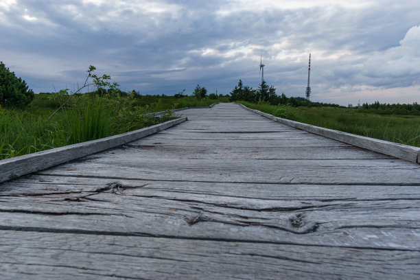 德国，黑森林，穿过沼地hornisgrinde的木板小路图片下载