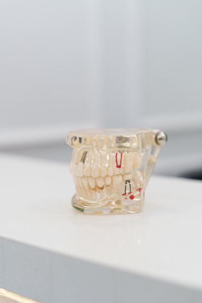 教学的教学文章，详细的牙齿，臼齿，牙龈和咬。创新设计图片下载