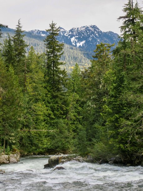 不列颠哥伦比亚省的大河图片下载