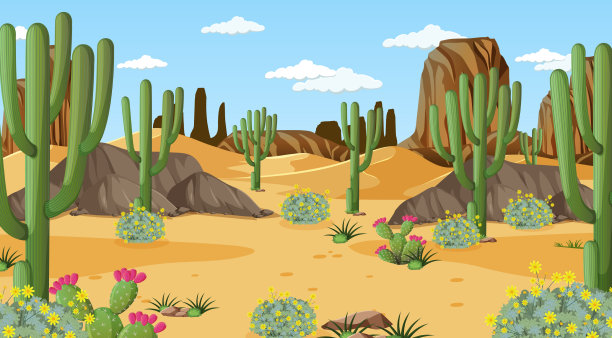 沙漠森林景观以白天为景图片下载