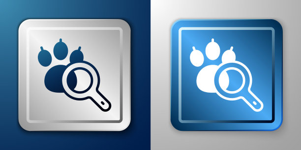 白色爪子搜索图标孤立在蓝色和灰色图片下载