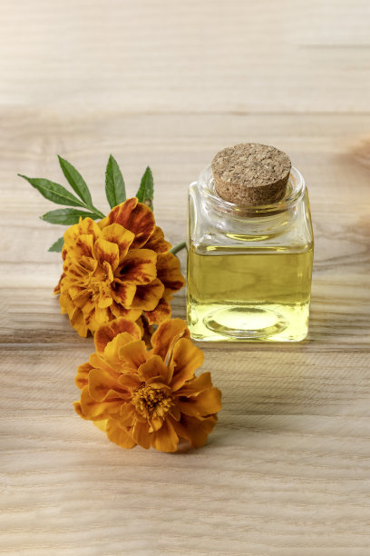 木桌上放着一瓶精油和万寿菊。万寿菊鲜花提取图片下载