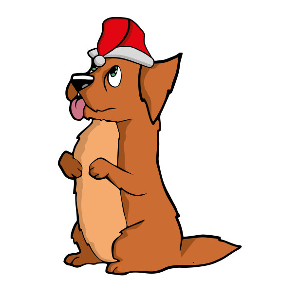 狗戴着圣诞老人的帽子图片下载