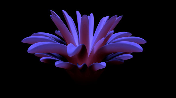 紫色花在黑色背景抽象3d渲染图片下载