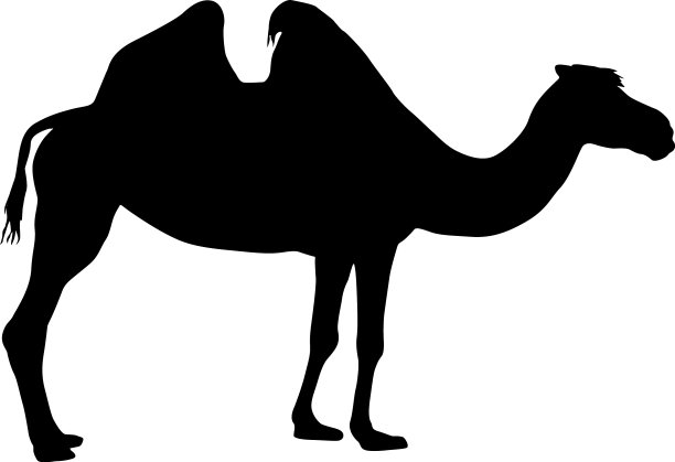 白色背景上骆驼的剪影图片下载