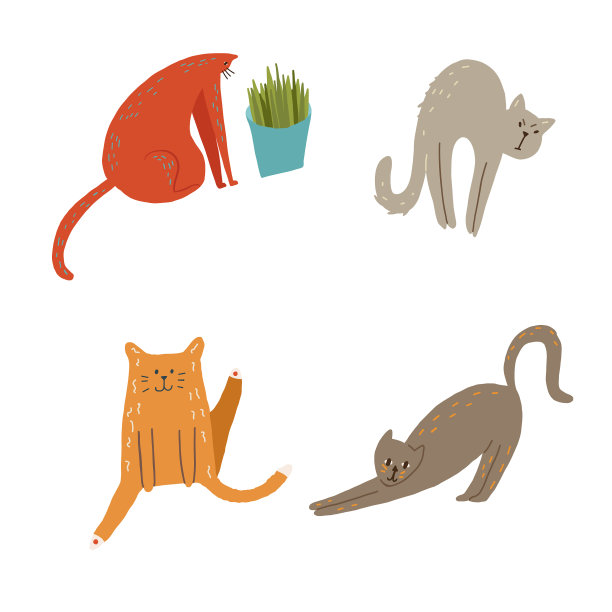 猫弓着背坐在草地上图片下载