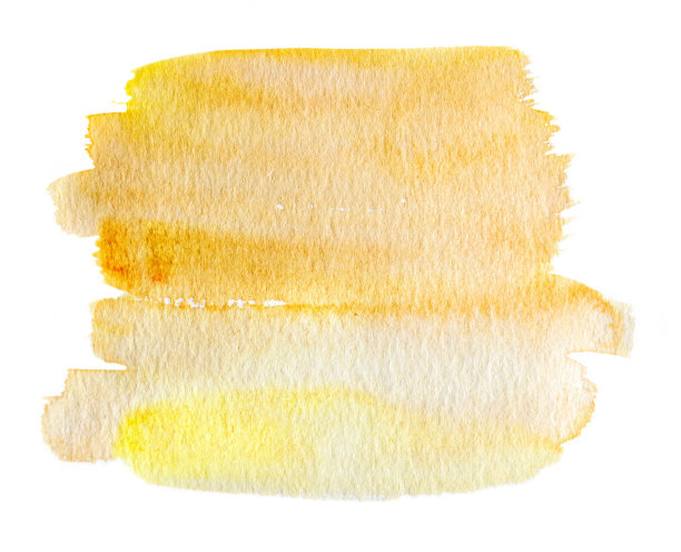 水彩画在白色的背景图片下载