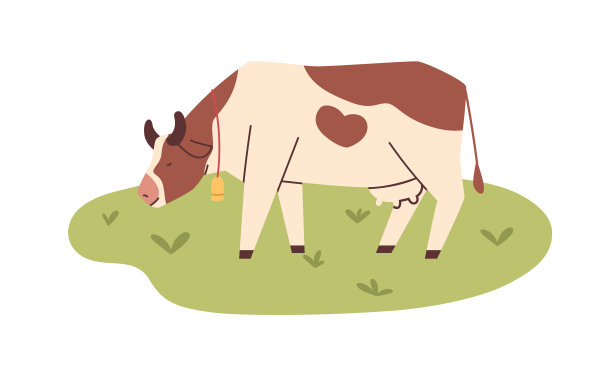 在牧场上吃草的奶牛图片下载