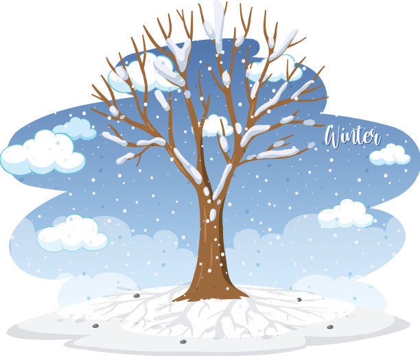 冬天的季节，树被雪覆盖图片下载