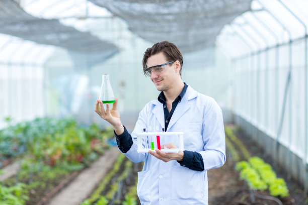 科学家使用试管。科学家在蔬菜园实验室工作。科学家们在蔬菜农场测试这一解决方案图片下载