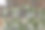 用蜡烛装饰户外婚礼的拱门图片下载