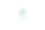 字母z松树常绿冷杉铁杉云杉图片下载