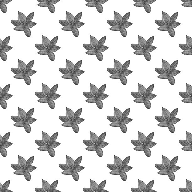 花背景黑色和白色线性图片下载