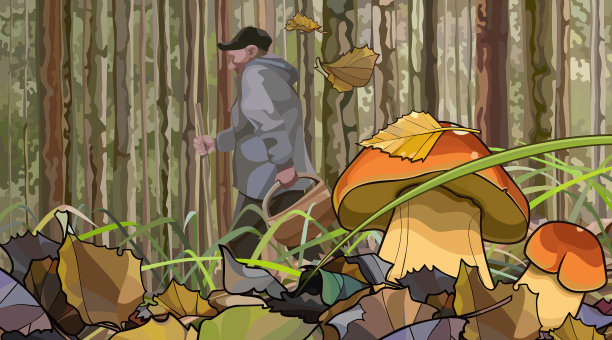 秋天的森林里有大蘑菇和散步图片下载