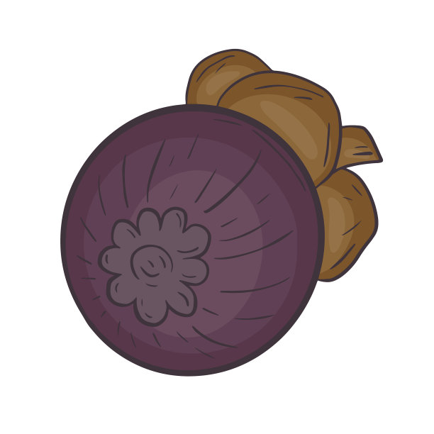 热带奇异水果山竹分离图片下载