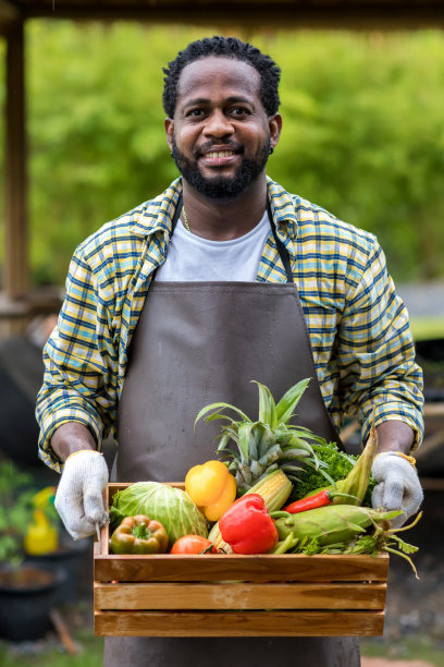 农民拿着装满新鲜蔬菜的木箱。篮子的蔬菜。男人拿着一个大盒子，里面装着不同的新鲜蔬菜。图片下载