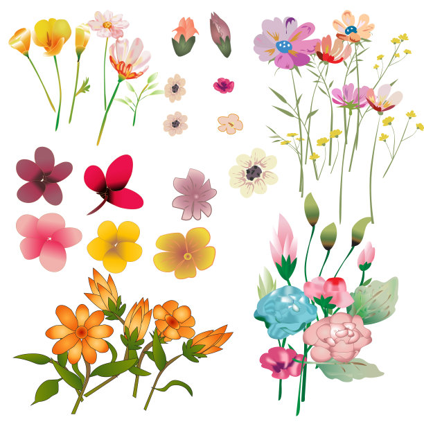 装饰花组图片下载