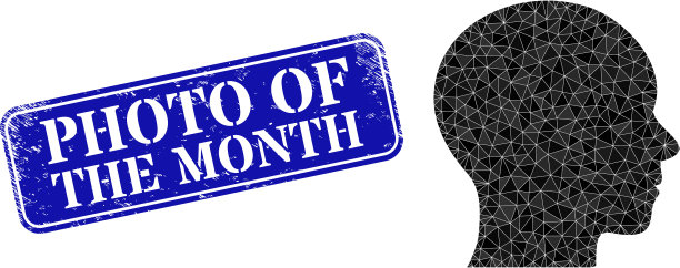 月章与人的纹理照片图片下载