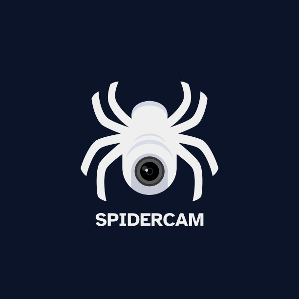 监控摄像头和蜘蛛标志设计图片下载