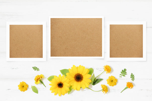 用向日葵花装饰的照片模板图片下载