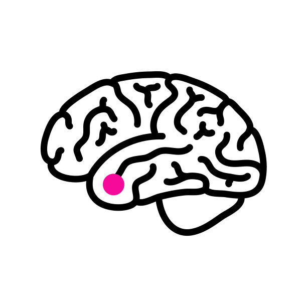 垂体腺瘤癌图片下载