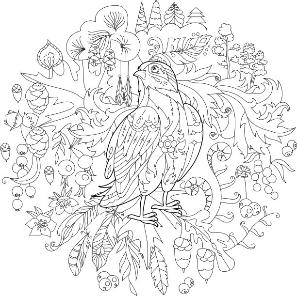 可爱的鸟猫头鹰森林涂鸦风格黑色和图片下载