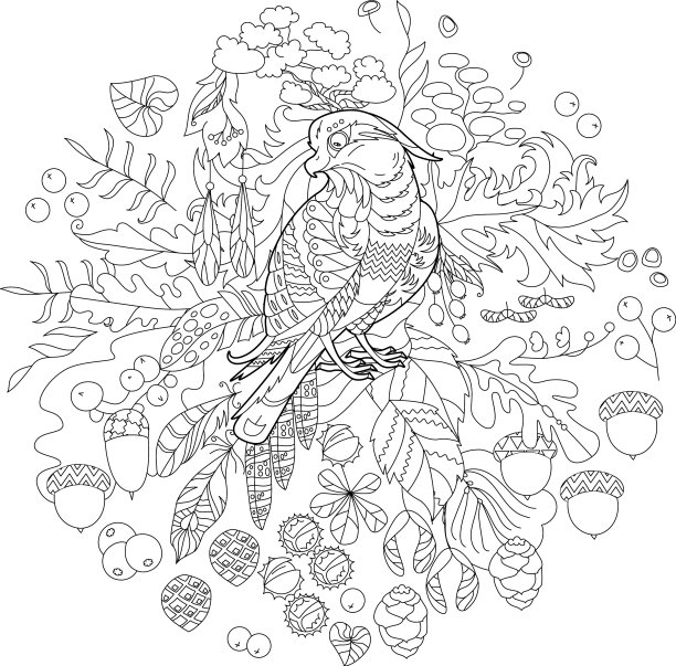 可爱的鸟猫头鹰森林涂鸦风格黑色和图片下载