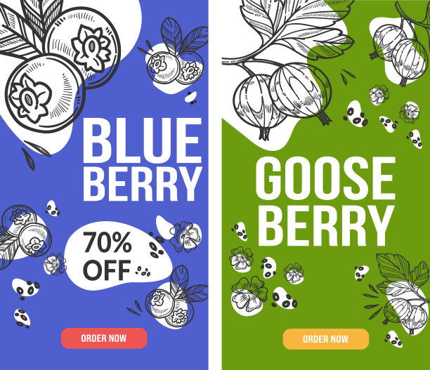 蓝莓和醋栗鲜莓销售图片下载
