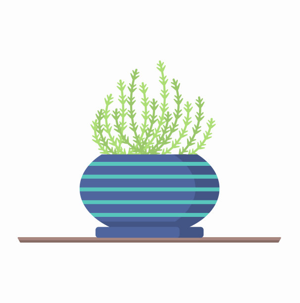 一套室内植物在货架花园花盆图片下载