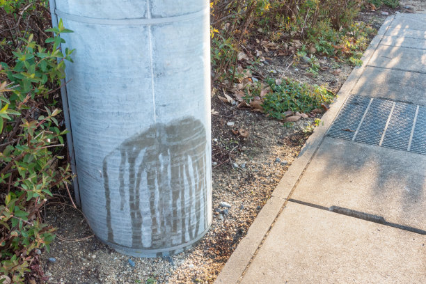 一张狗在电线杆上撒尿的照片。宠物和礼仪的形象。图片下载