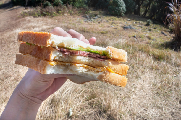 户外吃手工三明治的照片图片下载