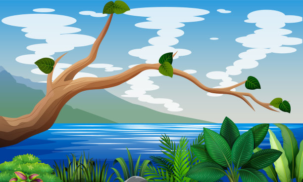 在湖边种树图片下载