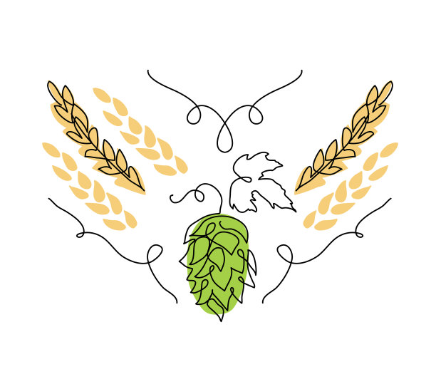 啤酒花草本和小穗素描一图片下载